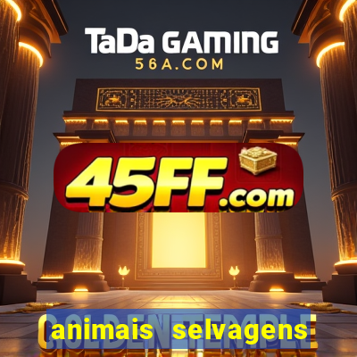 animais selvagens fotos e nomes
